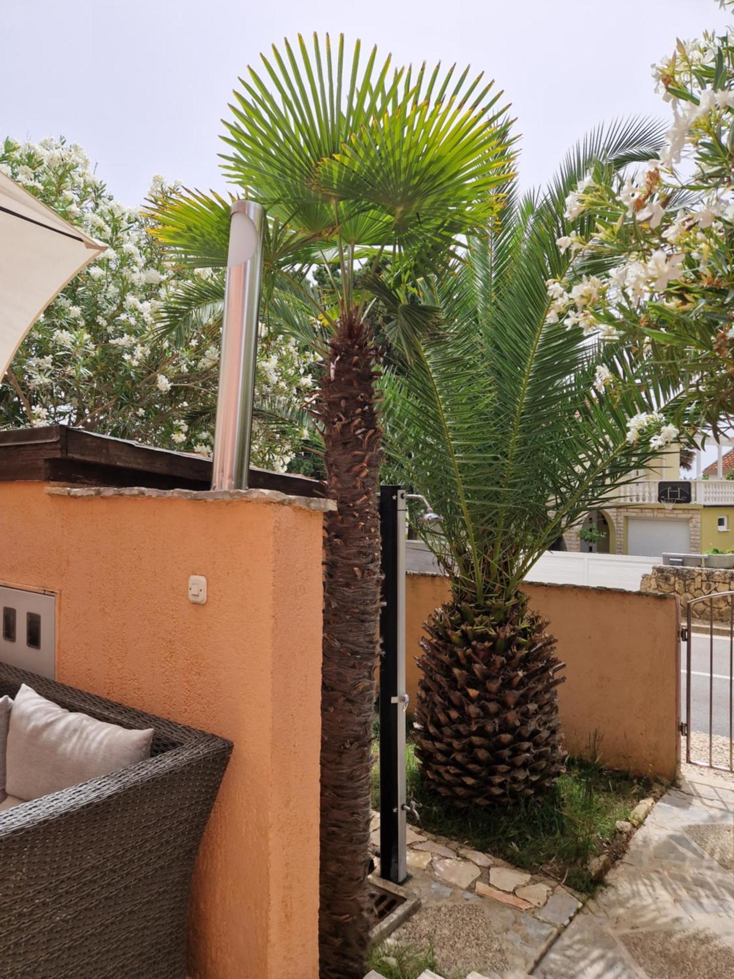 Aurelia Apartments, Vir Kamer foto