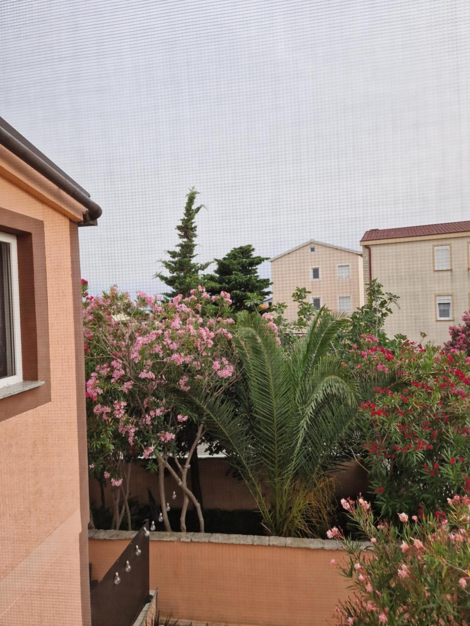 Aurelia Apartments, Vir Buitenkant foto